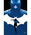 NIGHTWING Nº 37