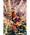 FLASH 01 (80)