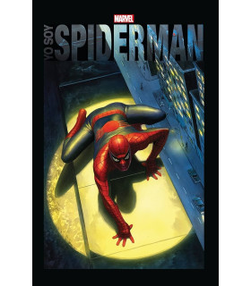 YO SOY SPIDERMAN