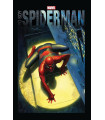 YO SOY SPIDERMAN