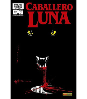 BIBLIOTECA CABALLERO LUNA 07