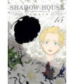 SHADOW HOUSE Nº 15