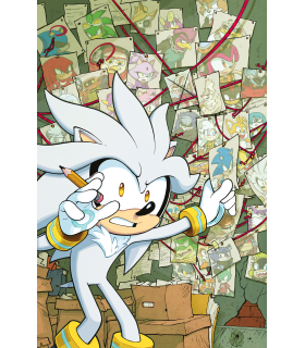 SONIC THE HEDGEHOG 64