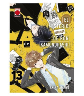 EL MISTERIO PROHIBIDO DE RON KAMONOHASHI 13
