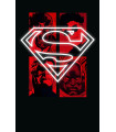 SUPERMAN: EL REINADO DE LOS SUPERHOMBRES (GRANDES NOVELAS GRAFICAS DE DC)