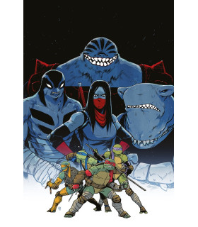 LAS TORTUGAS NINJA 22