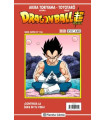 DRAGON BALL SERIE ROJA Nº 317