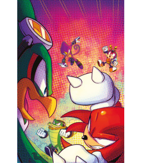 SONIC THE HEDGEHOG 66