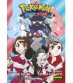 POKEMON ESPADA Y ESCUDO 04