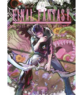 FINAL FANTASY LOST STRANGER 11