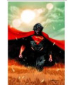 ABSOLUTE SUPERMAN 01