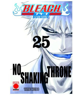 BLEACH BESTSELLER 25
