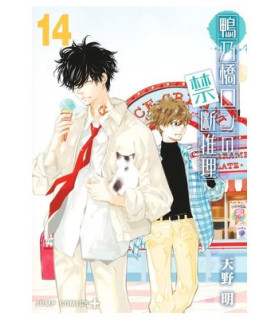 EL MISTERIO PROHIBIDO DE RON KAMONOHASHI 14