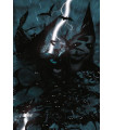 THE BRAVE AND THE BOLD. BATMAN: LA CARTA GANADORA