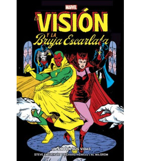 LA VISION Y LA BRUJA ESCARLATA. UN AÑO EN SUS VIDAS