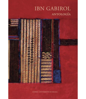 GUNSMITH CATS BURST Nº 05/05