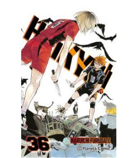 HAIKYû!! Nº 36/45