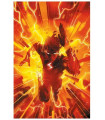 ABSOLUTE FLASH 1