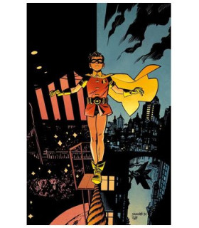 BATMAN Y ROBIN AÑO UNO 06