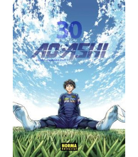 AO ASHI 30