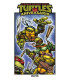 TEENAGE MUTANT NINJA TURTLES : ESPECIAL 40 ANIVERSARIO