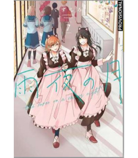 LA LUNA EN UNA NOCHE DE LLUVIA 7