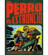 PERRO DE ESTRONCIO 05