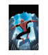 AMAZING FANTASY PRESENTA : SPIDERMAN 1000