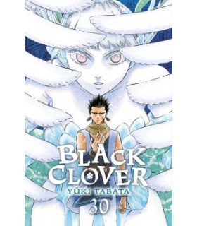 BLACK CLOVER 30