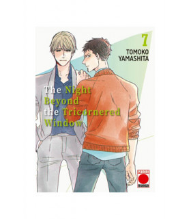 THE NIGHT BEYOND THE TRICORNERED WINDOW 07