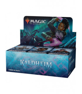 KALDHEIM CAJA DE SOBRES DRAFT