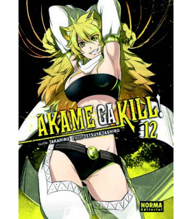 AKAME GA KILL! 12