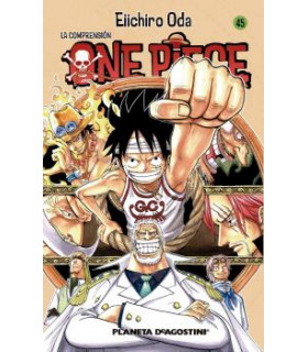 ONE PIECE Nº 45