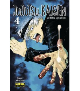 JUJUTSU KAISEN 04