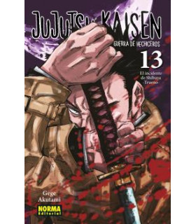 JUJUTSU KAISEN 13