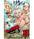DR. STONE 12