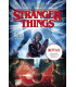 STRANGER THINGS 01 EL OTRO LADO