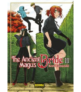 THE ANCIENT MAGUS BRIDE 11