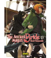 THE ANCIENT MAGUS BRIDE 13