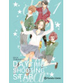 DAYTIME SHOOTING STAR Nº 01