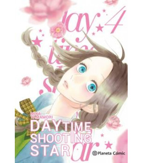 DAYTIME SHOOTING STAR Nº 04