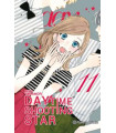DAYTIME SHOOTING STAR Nº 11