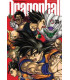 DRAGON BALL 34 (DE 34) (ULTIMATE EDITION) (NUEVA EDICIÓN)
