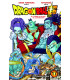 DRAGON BALL SUPER Nº 17