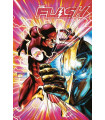 FLASH NÚM. 9/ 81