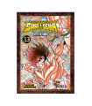 SAINT SEIYA. NEXT DIMENSION MYTH OF HADES 13