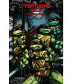 LAS TORTUGAS NINJA: LA SERIE ORIGINAL VOL. 6 DE 6