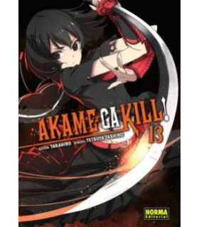 AKAME GA KILL! 13