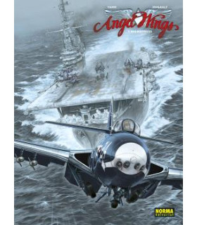 ANGEL WINGS 07. MIG MADNESS