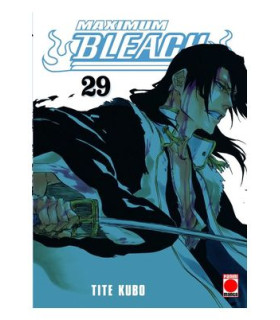 BLEACH MAXIMUM 29